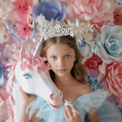 Schmoopy Tiara Crown for Women, Crystal Tiara for Bridal Prom Queen Birthday Wedding Party (A-Silver)