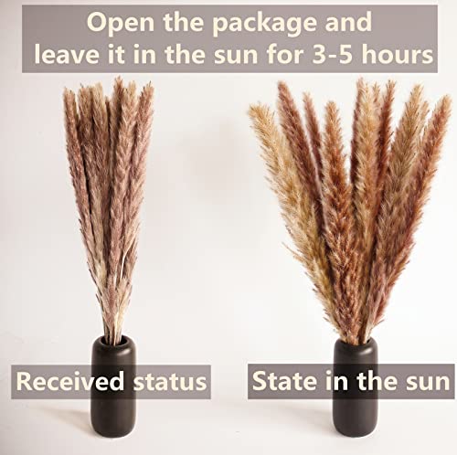 100 PCS Small Boho Pampas Grass, 17" Naturally Dried Pompas, Pampas Grass Decor for Wedding , Boho Party Decorations, Tabl...