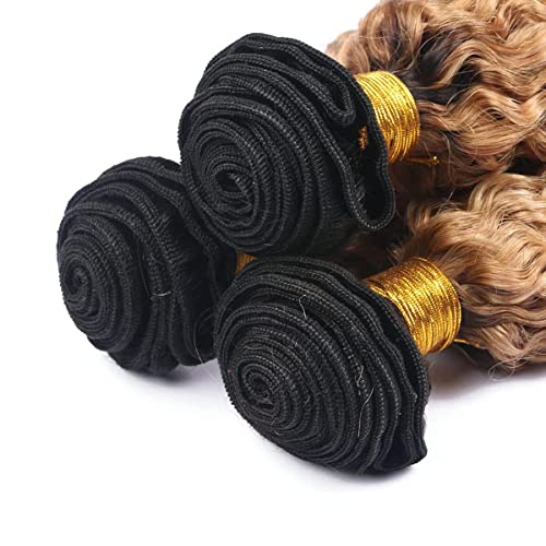 1B/27 Honey Blonde Bundles Ombre Deep Wave Bundles Human Hair Brazilian Two Tone Black and Blonde 3 Bundles Ombre Blonde Deep Wave Bundles Hair Weave for Black Women (20 22 24 Inch)