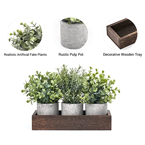 Dahey 3 Pack Mini Potted Artificial Eucalyptus Fake Plants with Wood Tray Centerpiece Table Decorations, Farmhouse Pulp Fl...