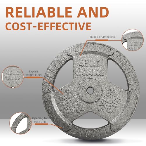 Fitvids Cast Iron 1-Inch Standard Weight Plate for Strength Training & Weightlifting, Multiple Weights Available