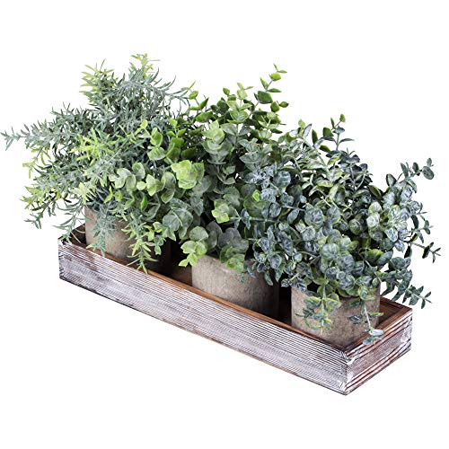 Winlyn Set of 3 Mini Potted Artificial Eucalyptus Plants Faux Rosemary Plant Assortment with Wood Planter Box for Indoor O...