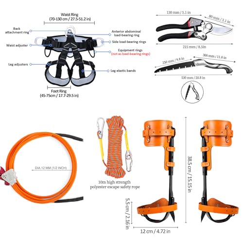 Gdsinstna Tree Climbing Spikes,Tree Climbing Gear,Tree Climbing Kit Suitable for Climbing Trees, Picking Fruits,etc