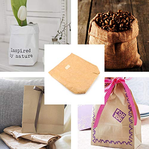 Aqur2020 Premium Kraft Paper PE Foam Insulated Lunch Storage Bag Light Weight Outdoor Picnic Bag for Party and Camping(Brown)