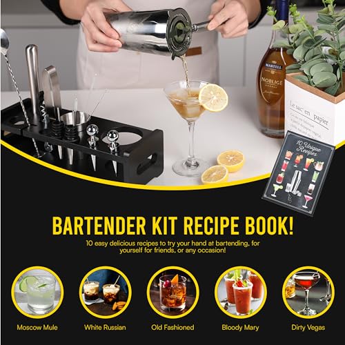Nikleberry Premium 20 Piece Cocktail Shaker Set with Weighted Boston Shaker and Stand | Bartender Kit with Large Spill Cat...