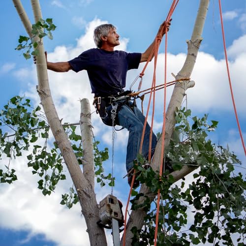 Gdsinstna Tree Climbing Spikes,Tree Climbing Gear,Tree Climbing Kit Suitable for Climbing Trees, Picking Fruits,etc