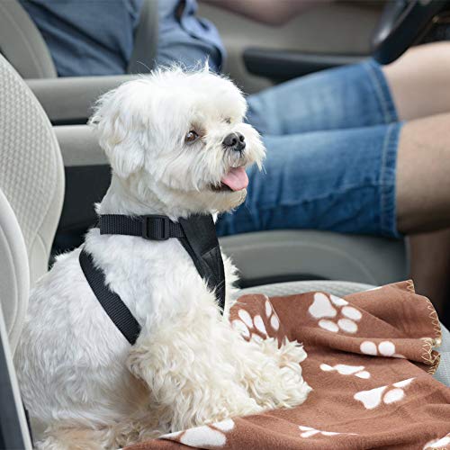 Comsmart Dog Blankets for Small Dogs, 6 Pack Puppy Blanket Cute Paw Print Pet Blanket for Dog, Puppy, Cat, Kitten, 24x28 i...