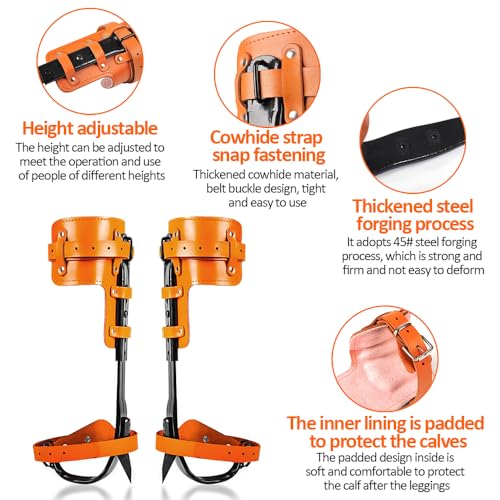MITOJOSYEER Tree Climbing Gear - Tree Climbing Spikes Suitable for Tree Work, Fruit Picking,Tree Climbing,Logging of Tree ...