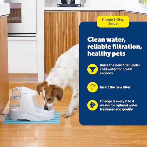 PetSafe Drinkwell Replacement Carbon Filters - Activated Carbon Cat Water Fountain Filter for Clean & Fresh Water & Better...