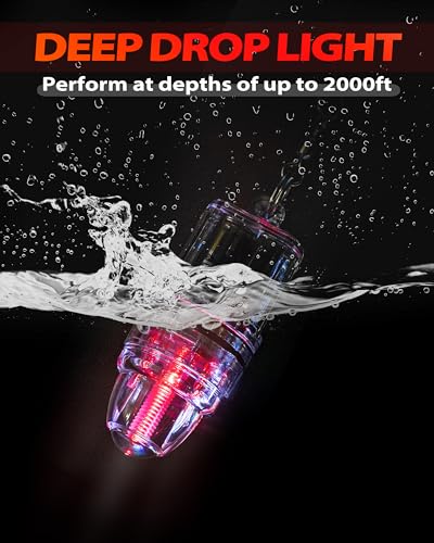 BLUEWING 3pcs Fishing Deep Drop Light with Stainless Steel Long Line Clip 2000 ft Underwater Fish Attracting Lamp for Swor...
