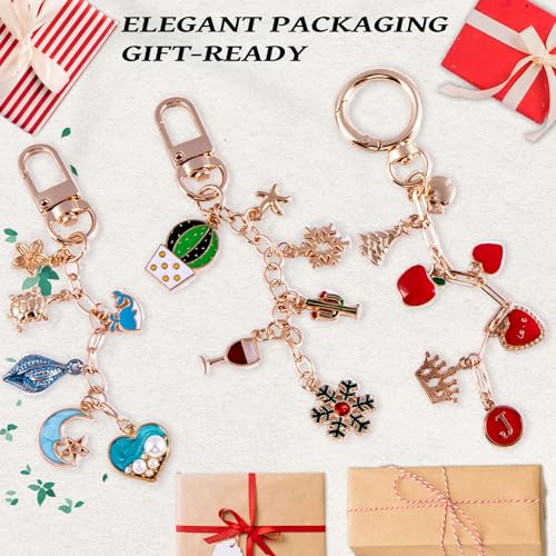 Wurosi 325Pcs Charms Lip Gloss Keychain Making Kit, Including 20 Keychain Clips 25 Extender Chain 118 Charms Jewelry Plie...
