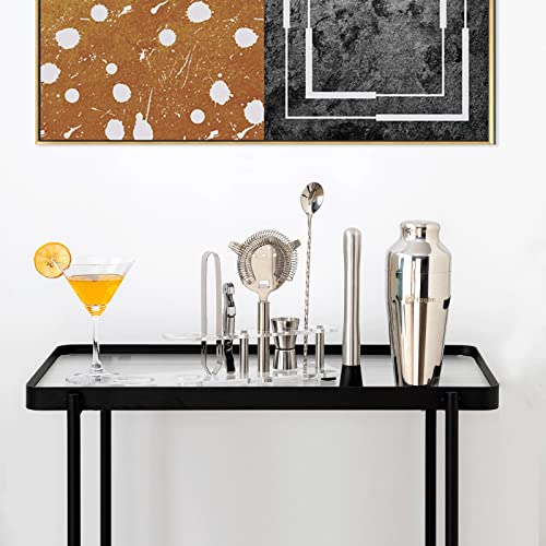 Btuqbu Cocktail Shaker Set with Arcylic Stand, Mixology Bartender Kit for Drink Mixing | Mixology Set with 7 Bar Set Tools...