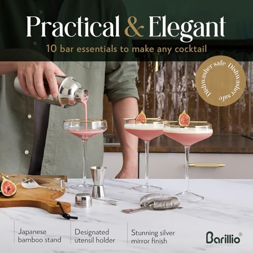 Barillio Bartender Kit - Stainless-Steel Cocktail Shaker Set with Bamboo Stand - Mixology Bar Tools w/Shaker, Drink Mixer ...