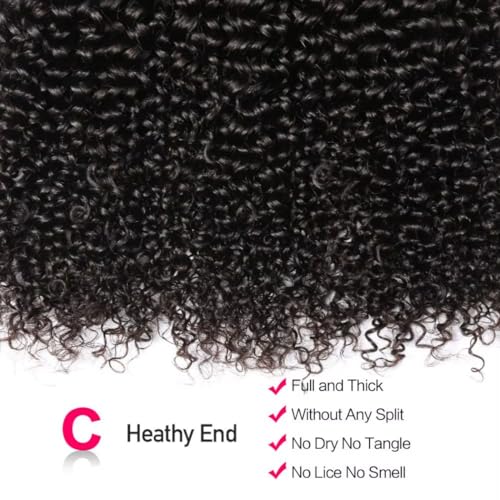 12A Water Wave Human Hair Bundles 20 22 24 Inch Raw Curly Bundles Human Hair,Ultra Double Drawn Sew In Weft No Tangle Shedding,Double Lifespan Virgin Hair,Multiple Washes Keep Texture Silky Soft