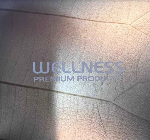 Wellness Premium Wellplex Hair Mask for All Hair Types | Enriched with Organic Cold Pressed Hemp Seed Oil | Clean Beauty Ingredients (500 mL)