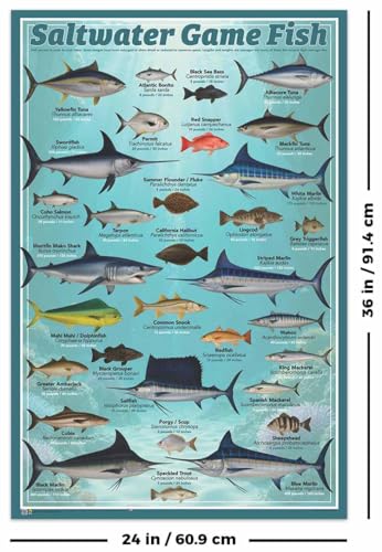 Scorpio Posters Saltwater Game Fish Poster - 24" x 36"