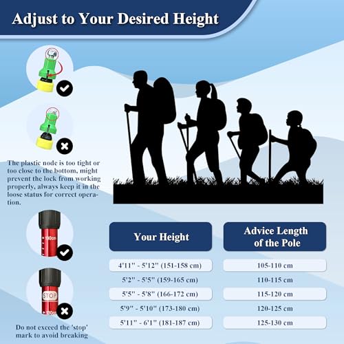 TheFitLife Nordic Walking Trekking Poles - 2 Sticks with Anti-Shock and Quick Lock System, Telescopic, Collapsible, Ultral...