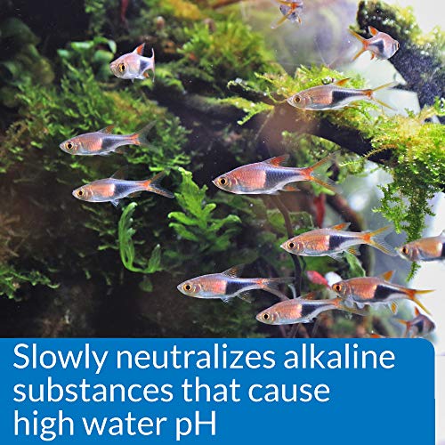 API pH DOWN Freshwater Aquarium Water pH Reducing Solution 1.25-Ounce Bottle