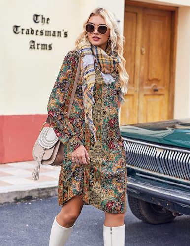 Zeagoo Fall Dresses for Women Long Sleeve Casual Pleated V Neck Dress 2025 A Line Tunic Dress