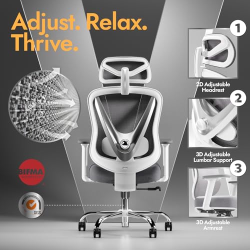 HOLLUDLE Ergonomic Mesh Office Chair - 3D Adjustable Lumbar Support & 3D Armrests, V-Shaped Back, Adjustable Desk Chair fo...