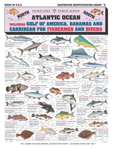 Saltwater Fish Identification Chart #5 - Waterproof Quick Reference Fishing Guide - 50+ Fish Species ID - (Florida, Atlant...