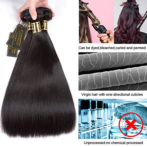 QTHAIR 16A Brazilian Straight Human Hair 3 Bundles (12 14 16inch,300g) Brazilian Virgin Hair Straight Human Hair Extensions Unprocessed Brazilian Straight Hair Weave for All Women