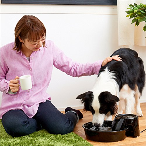 Pioneer Ceramic Drinking Fountain Big Max , 128 oz,Black