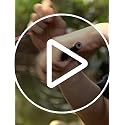 Outdoor Emergency Tactical Pen - 10-in-1 Multi-Functional Survival Tool with Compass, Fire Starter, Window Breaker, Whistl...
