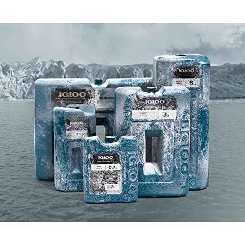 Igloo Performance Ice Block