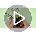 Crowye 6 Pcs Metallic Foil Spray Centerpiece Party Star Fall Table Decoration Valentine's Day New Year 2026 Table Decor fo...