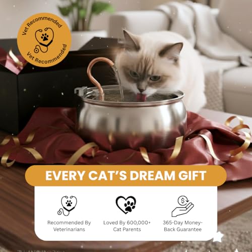 KittySpout Stainless Steel Cat Water Fountain Automatic Drinking Fountain, Quiet Circulating Water Bowl, Dishwasher Safe, ...