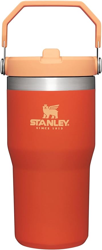 Stanley IceFlow Flip Straw Tumbler with Handle 20 oz | Twist On Lid and Flip Up Straw | Leak Resistant Water Bottle | Insu...