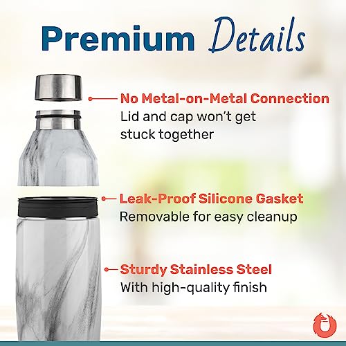 SNOWFOX Premium Vacuum Insulated Stainless Steel Cocktail Shaker, Home Bar Accessories, Elegant Drink Mixer, Leak, Proof L...