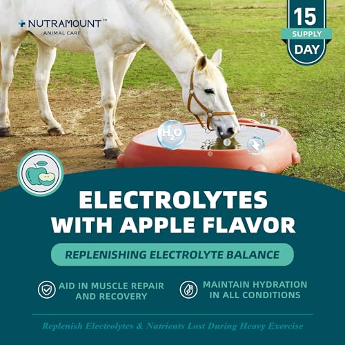 Nutramount Equine Electrolytes Supplement with Apple Flavor, Replenish Lost Minerals & Support Hydration for Horses During...