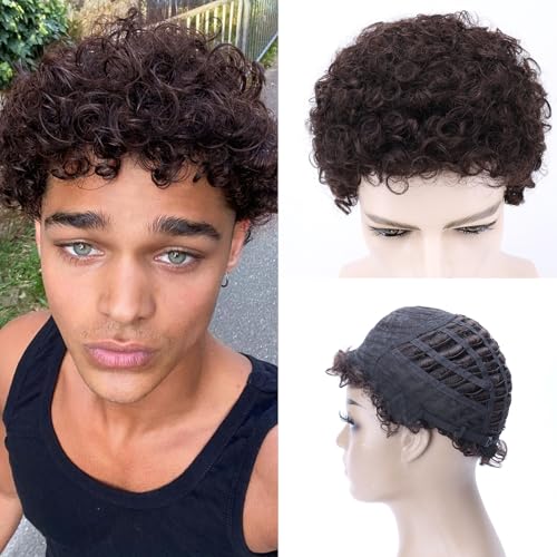Men's Full Head Wig with Real Hair, Curly Wig, Short Curly Hair, Fluffy and Realistic Curly Strands, Thin Skin, Daily and Party Men's Wig (dark brown)