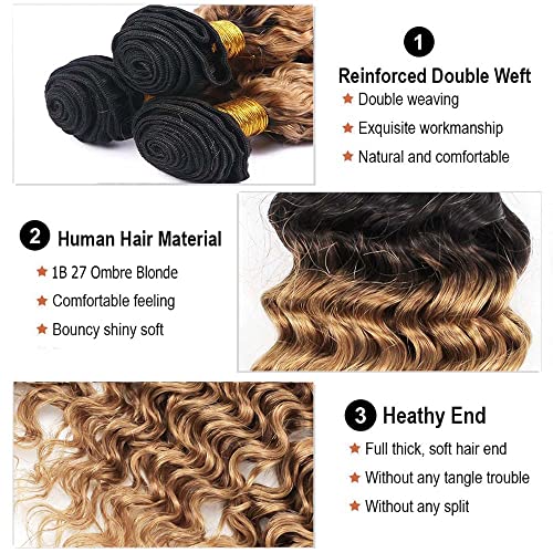 1B/27 Honey Blonde Bundles Ombre Deep Wave Bundles Human Hair Brazilian Two Tone Black and Blonde 3 Bundles Ombre Blonde Deep Wave Bundles Hair Weave for Black Women (20 22 24 Inch)