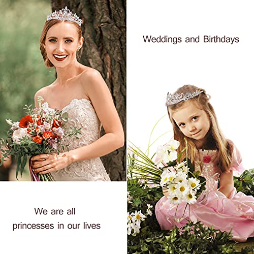 Velscrun Birthday Queen Tiaras Crown for Women, Girls Princess Crowns for Women, Queen Tiara for Mom, Silver Birth Crown H...