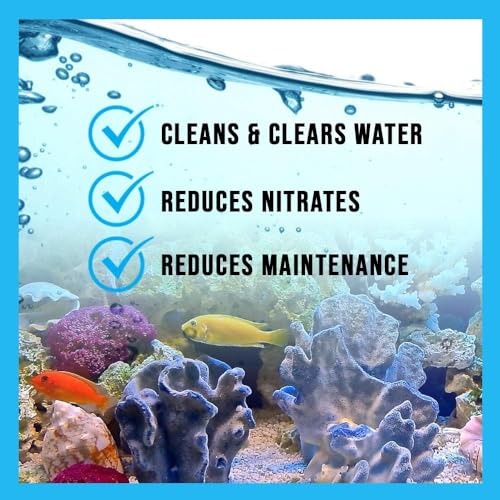 MICROBE-LIFT Special Blend Aquarium Treatment, Fish Tank Water Conditioner for Freshwater and Saltwater Tanks, Helps with ...