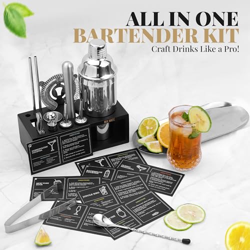 Mixology Bartender Kit with Stand - 15 Piece Bar Tool Set, Silver Bar Set Cocktail Shaker Set for Drink Mixing - Includes ...