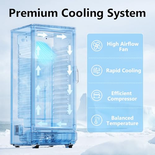 ICEVIVAL 6 Cu.Ft Commercial Refrigerators, Display Fridge with Double-Tempered Glass Door, Beverage Cooler for Bar, Offic...