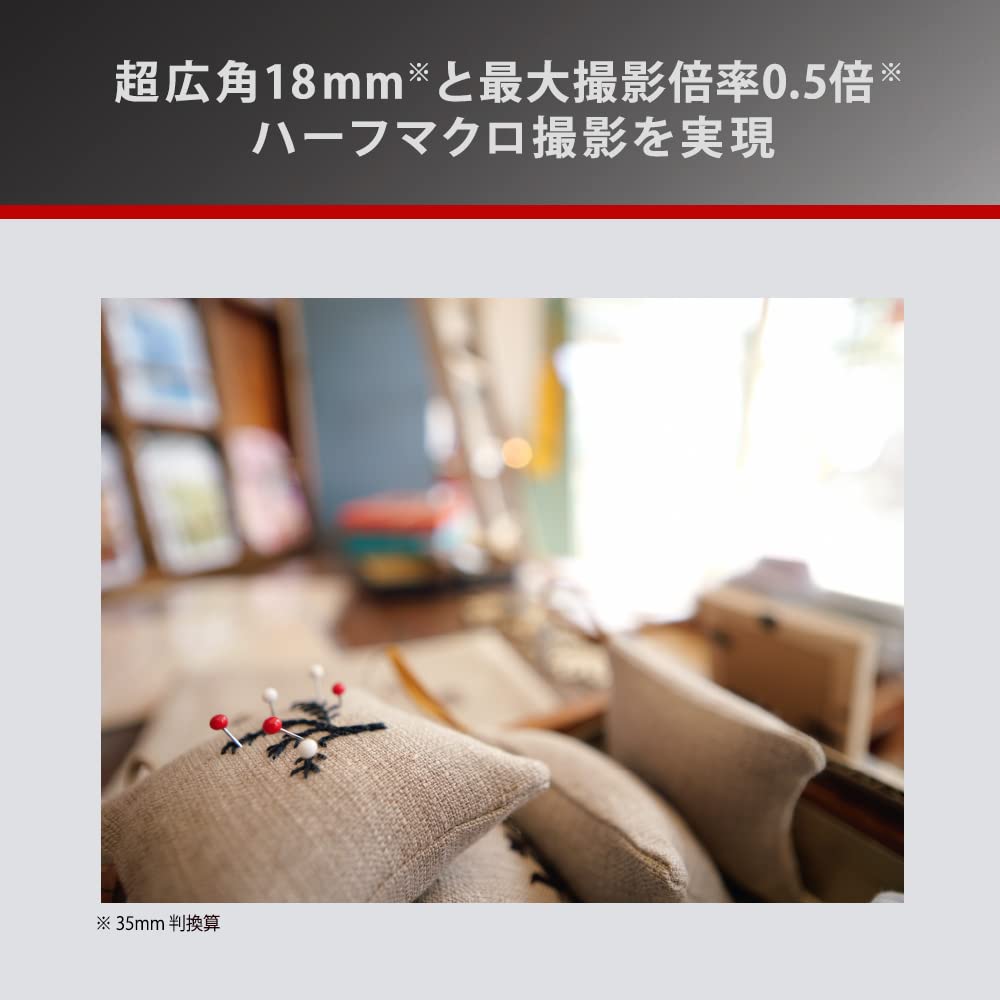 Panasonic H-X09 Wide Angle Monofocal Lumix Camera Lens Interchangeable Lens For Dslr Cameras