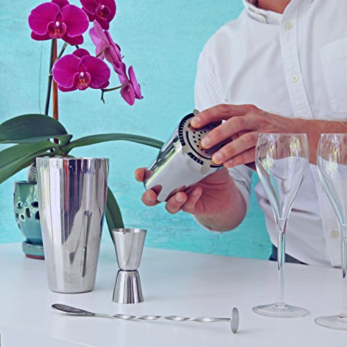 Professional Bartender Kit Cocktail Shaker Set by Toncini | Bartending Tools & Accessories | Stainless Steel Martini Shake...
