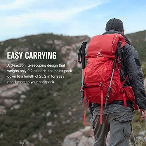 OLIFE Trekpal T3 Hiking Poles