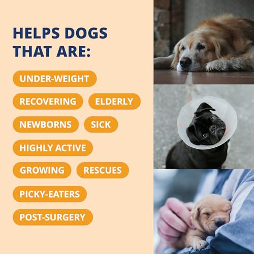 Under the Weather Pet Electrolytes Ready Cal Plus Gel for Dogs | Vet-Formulated High-Calorie Supplement for Dog & Puppy | ...