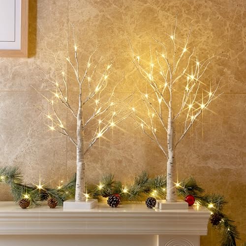 PEIDUO Christmas Decorations Indoor, 2 FT Birch Tree with LED Lights, Fairy Light Spirit Tree for Christmas Decor, Warm Wh...