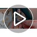 meekoo 50 Pcs 5.7oz / 170ml Disposable Plastic Wine Glasses, Gold Glitter Champagne Goblets Cocktail Cups for Weddings Bir...