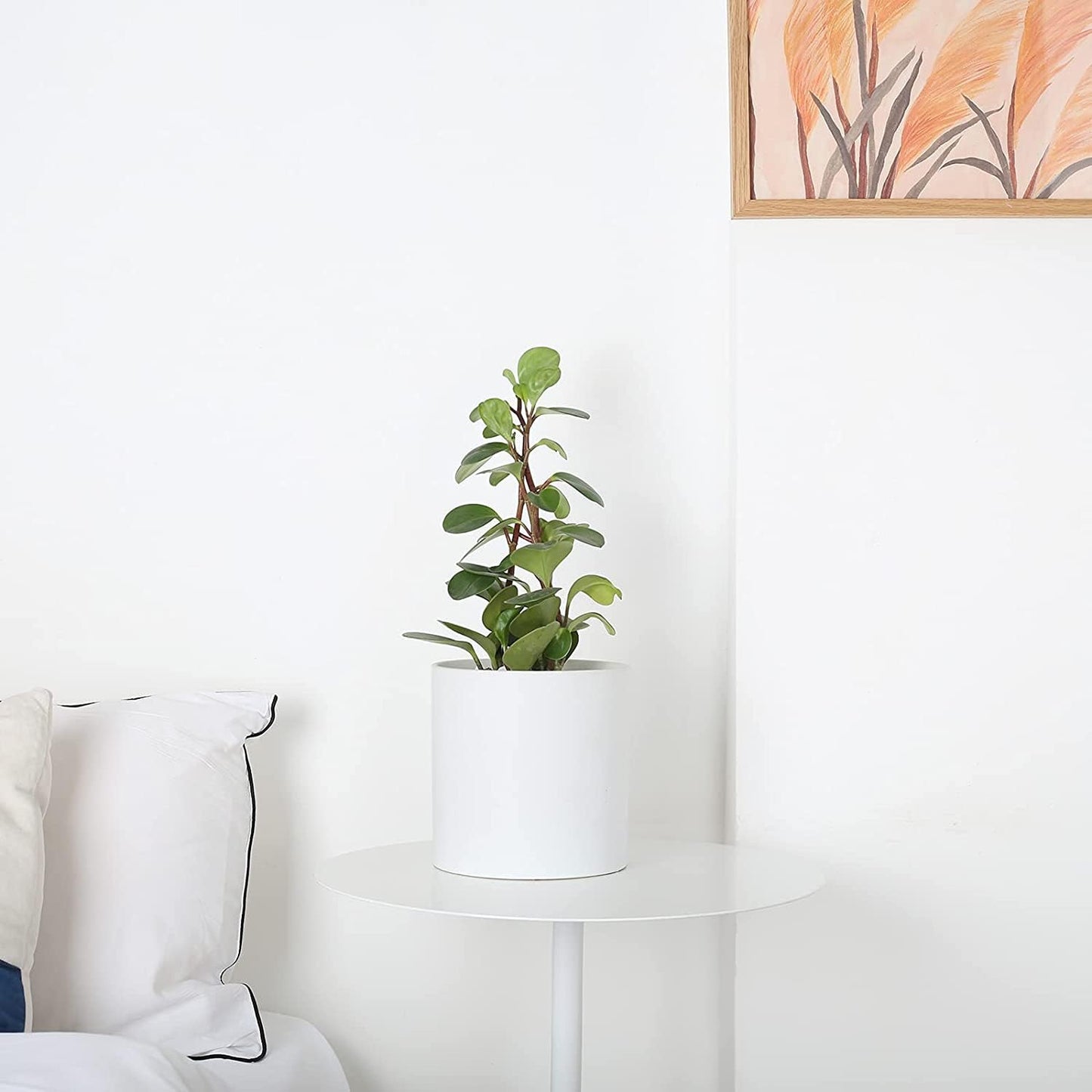 Matte White 8 Inch Ceramic Flower Pot with Non-Slip Base, Handmade Straight Cylinder Planter with Drainage Hole, Modern Minimalist Design for Indoor/Outdoor Plants, Succulents, Herbs, and Home Decor