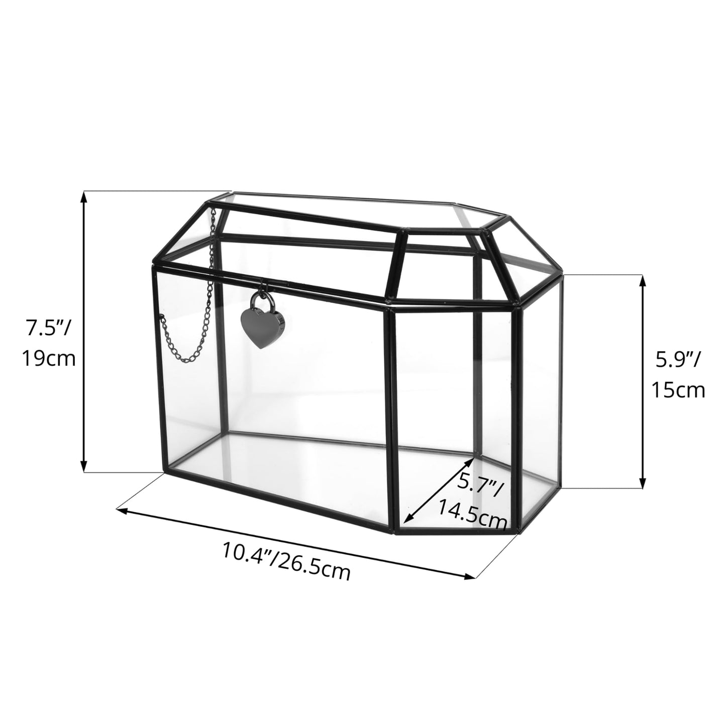 NCYP Gothic Glass Box with Swing Lid and Lock, Geometric Keepsake Card Display Organizer for Wedding Party - Halloween Decoration, Black Coffin-Shaped Terrarium, 10.4" x 5.7" x 7.5" (Glass Box Only)