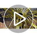 Memorywuu 6 Pcs Black and Gold Foil Spray Centerpieces for Tables Metallic Star Table Decorations for Birthday Party Favor...