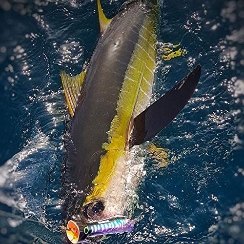Nomad Design Chug Norris Topwater Popper Lure Collection – Floating Offshore Saltwater Surface Fishing Plug - Durable HD B...